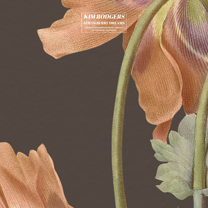 美女老师用丝袜踩我的🐔出精子的照片
